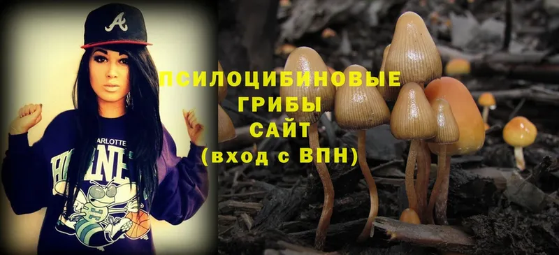 Галлюциногенные грибы Magic Shrooms  ОМГ ОМГ ссылка  Стерлитамак 